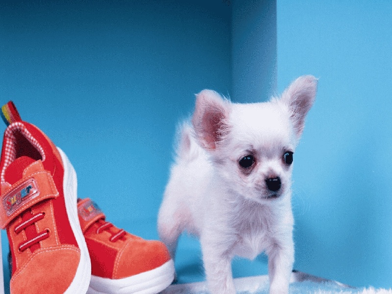 太原三代供卵例子,山东临沂做试管婴儿成功率最高的医院是哪里？如何选-太原